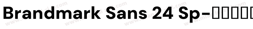 Brandmark Sans 24 Sp字体转换